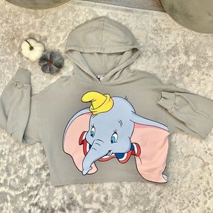 Zara x Disney Classics Dumbo Cropped Hoodie